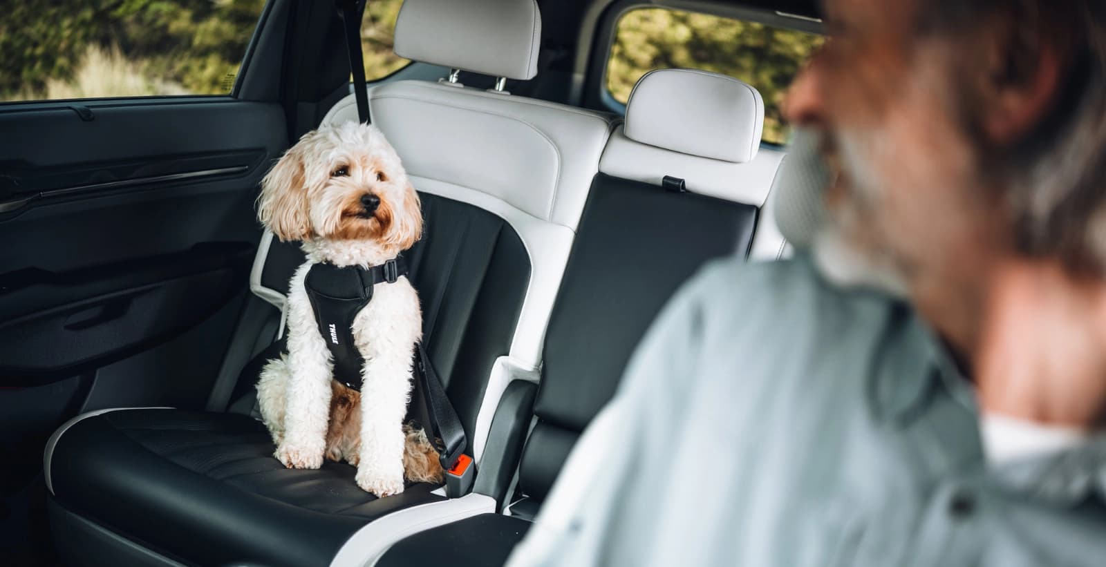 Thule Cappy Hundegeschirr für Autos