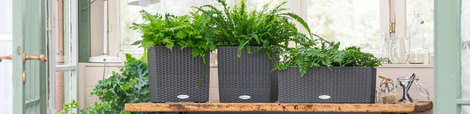 Lechuza – Pflanzgefäße mit intelligenter Bewässerung