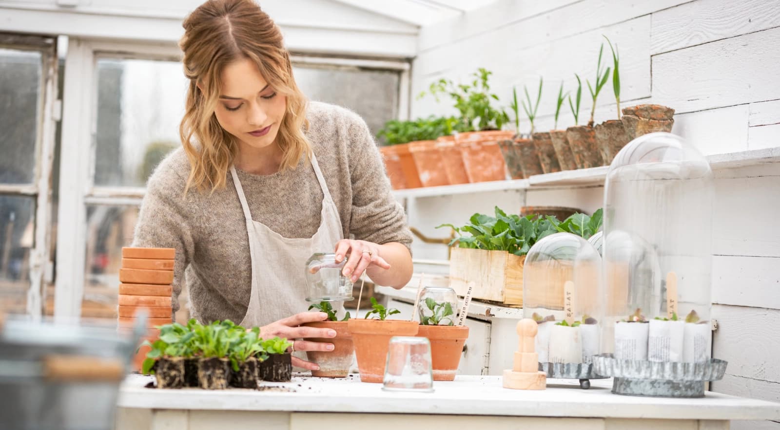 Gewächshaus bepflanzen