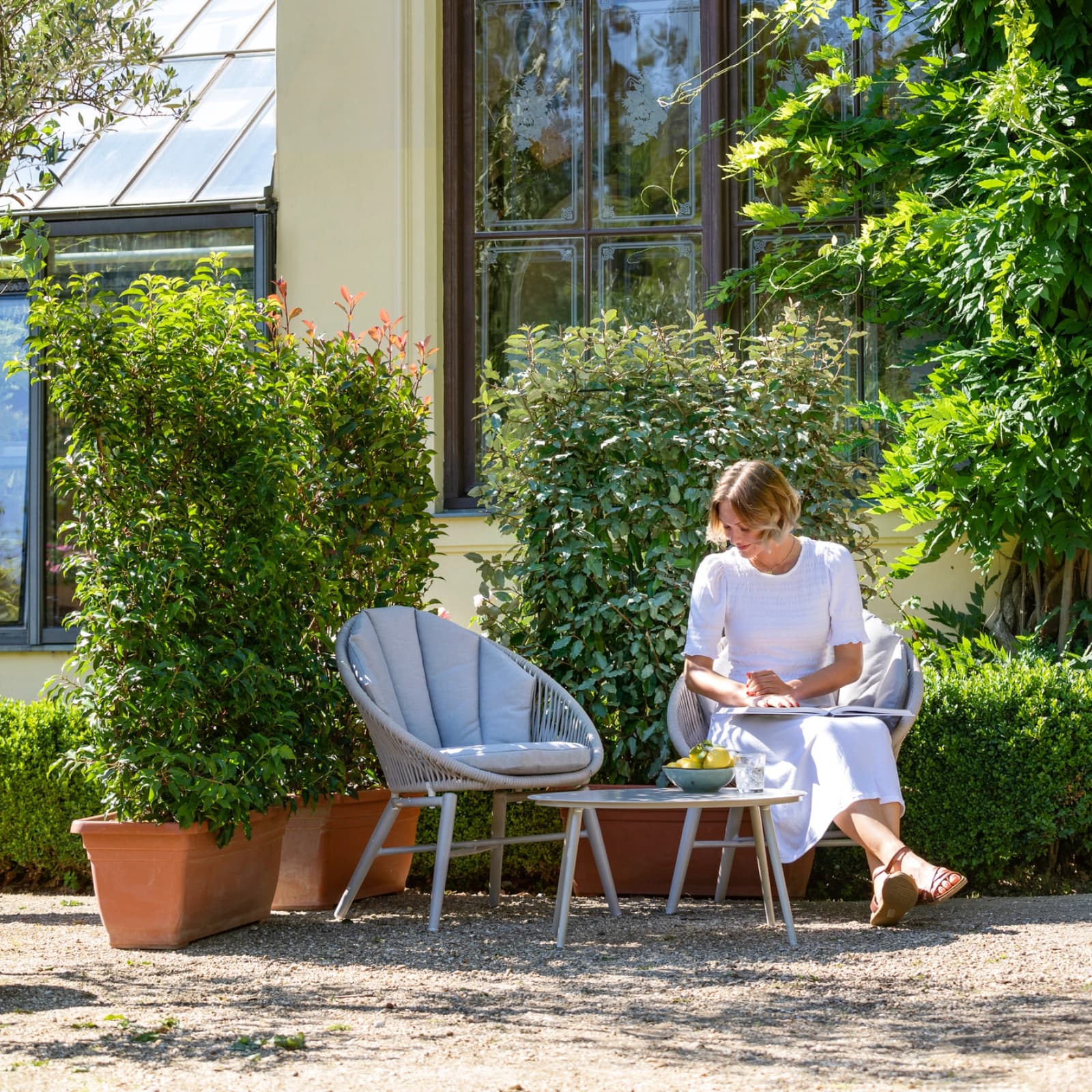 Ratgeber Heckenpflanzen