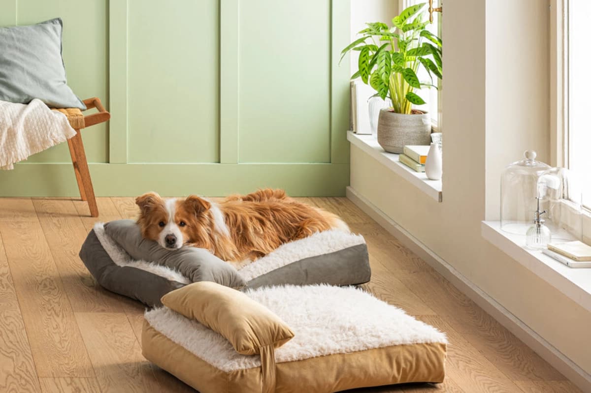 Hundebetten & Körbe