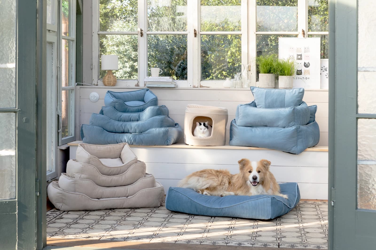 Kuschelzeit für Hunde & Katzen