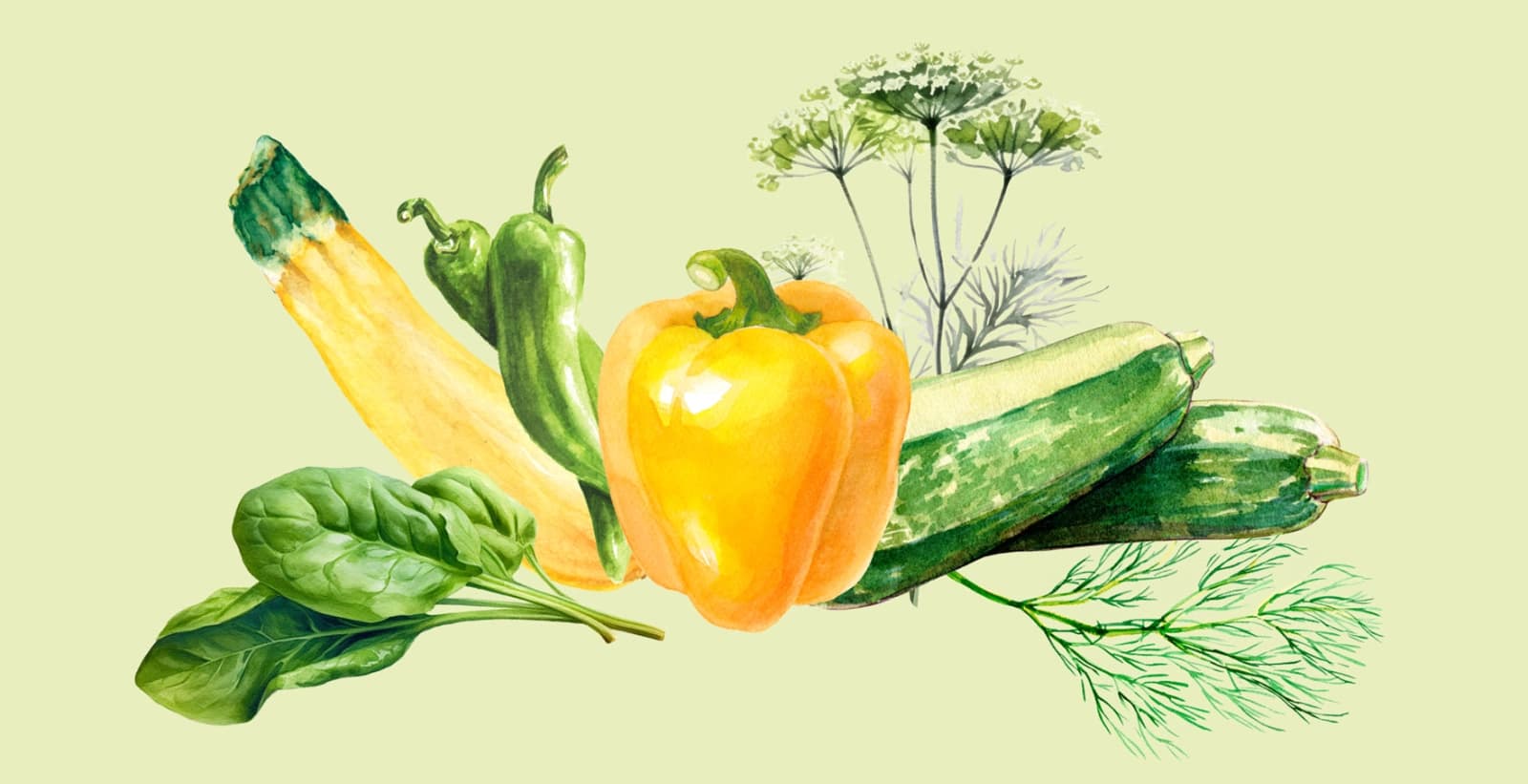 Aussaatkalender für Gemüse und Kräuter