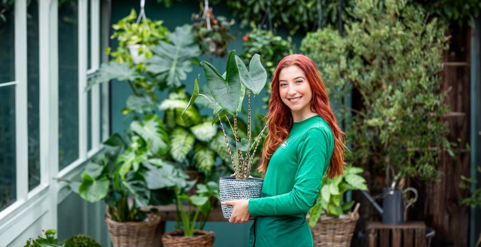 Sie haben Fragen zu unseren Produkten oder Services?