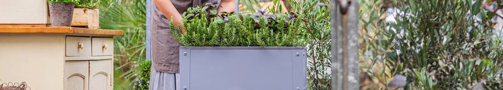 Alles für den Eigenanbau