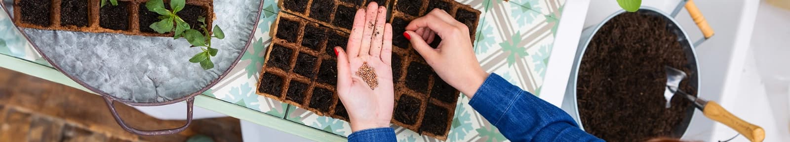 Alle mitmachen beim Eigenanbau