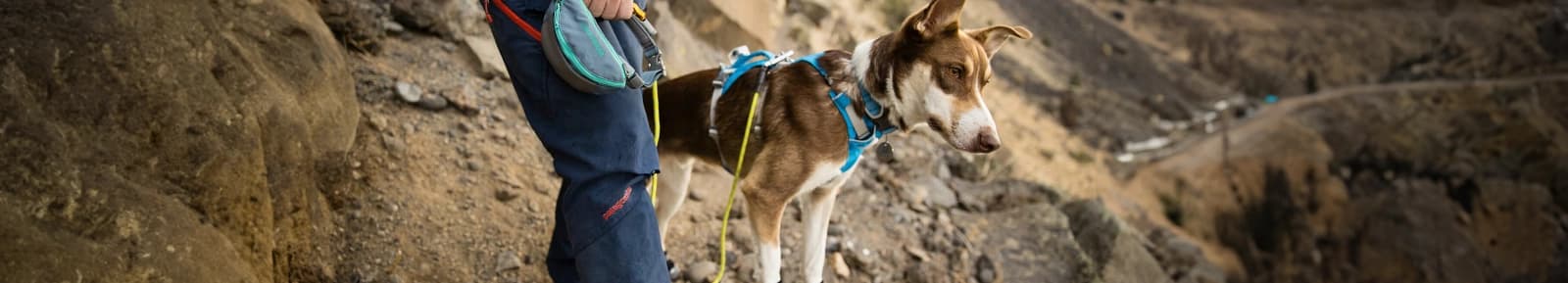 Outdoor-Hundezubehör