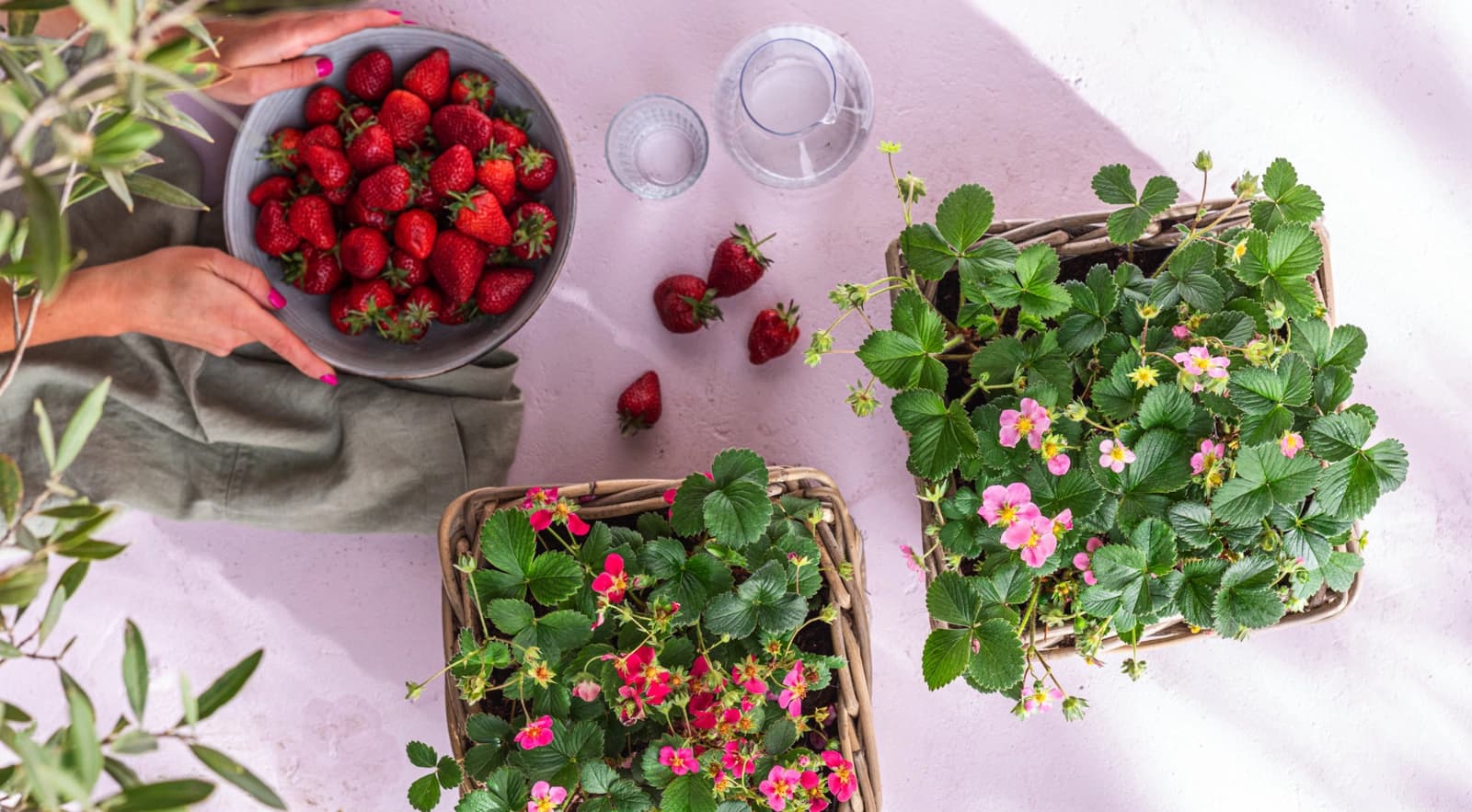 Gartenarbeiten im Juni