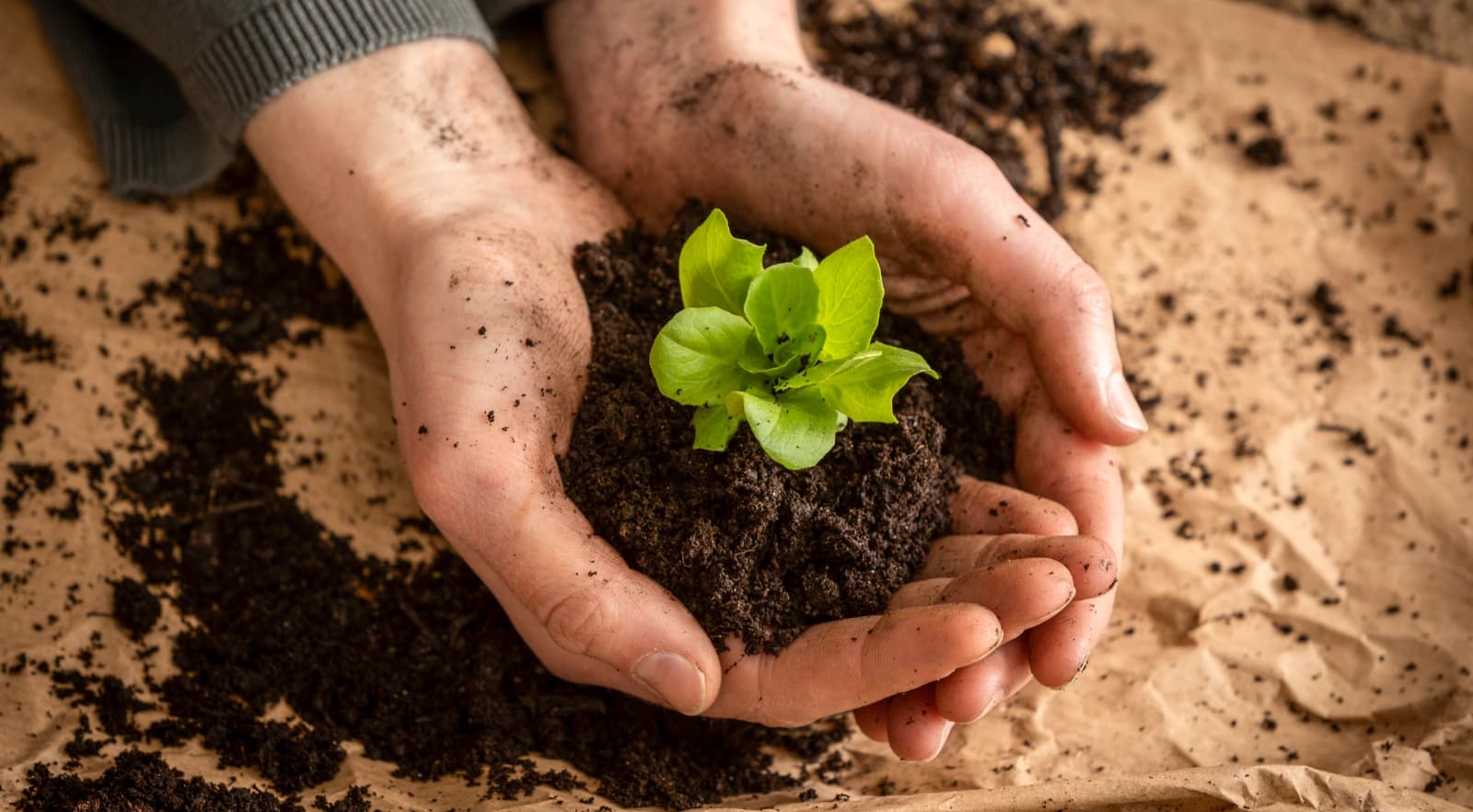 Gartenarbeiten im April