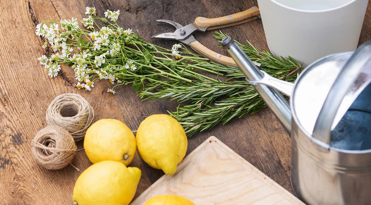 Sommerliche DIY-Ideen
