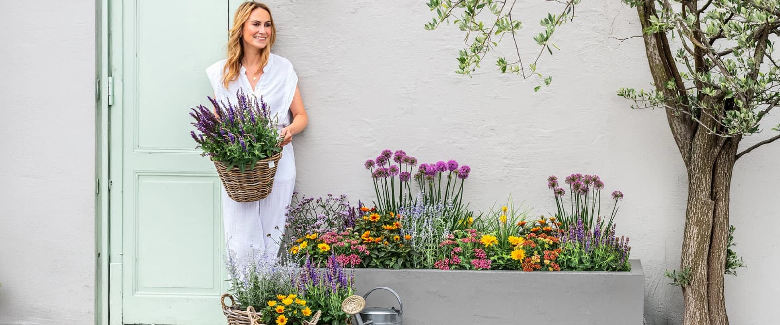 10 % auf alle Bio Stauden