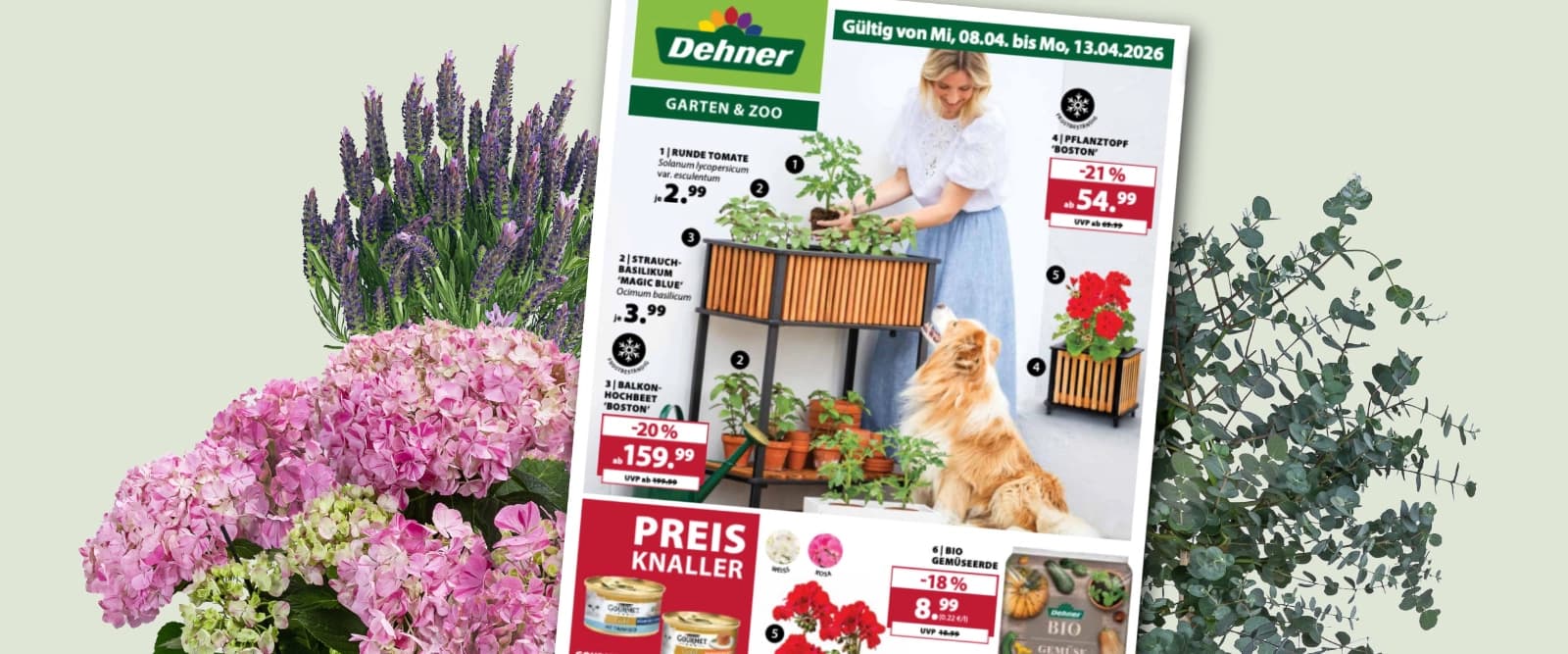 Unser neuer Prospekt ist da!