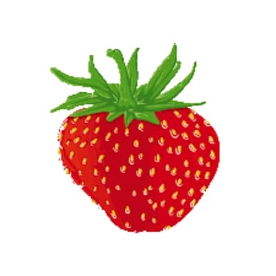 Erdbeerhof Zehelein-Schemm