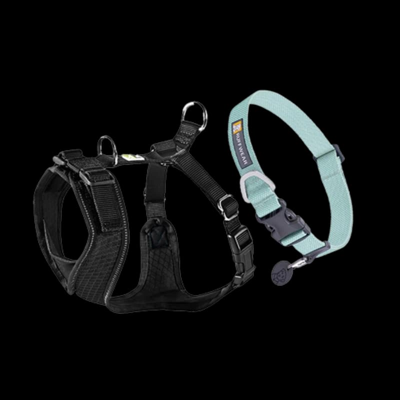 Halsbänder & Geschirre