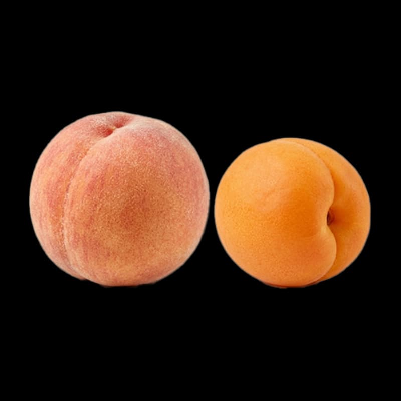 Aprikosen- & Pfirsichbäume