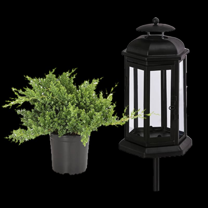 Grabschmuck & Grabgestaltung