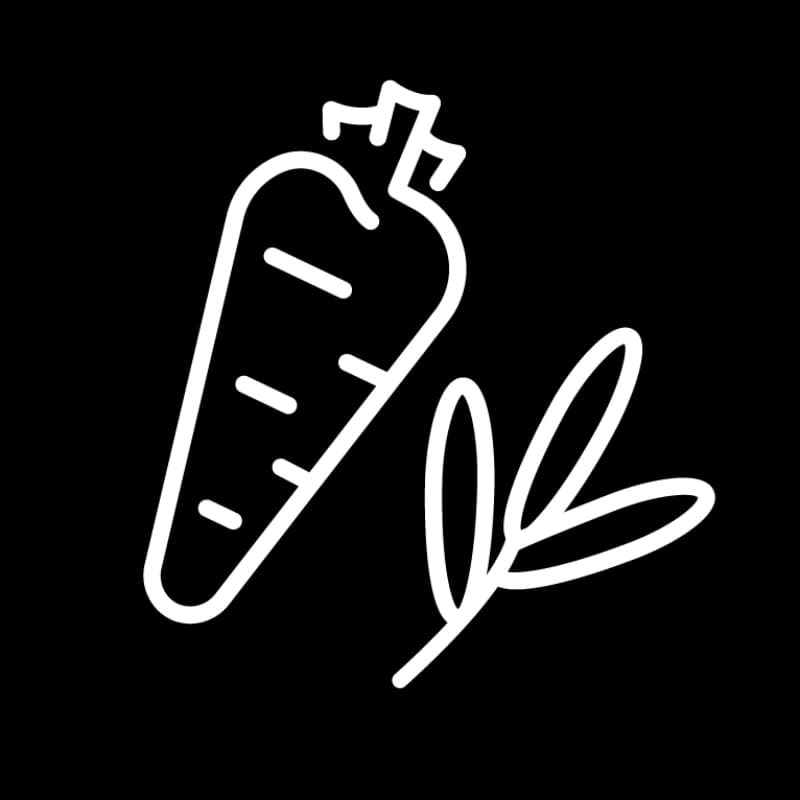 Gemüse- & Kräutergarten