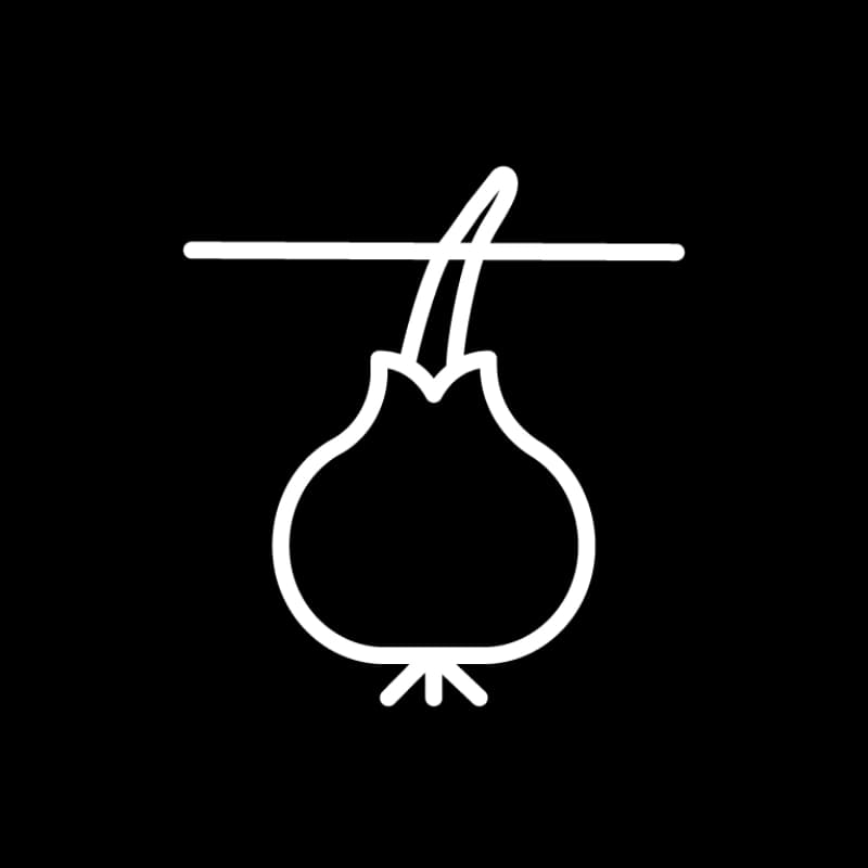 Pflanztiefe Blumen­zwiebeln