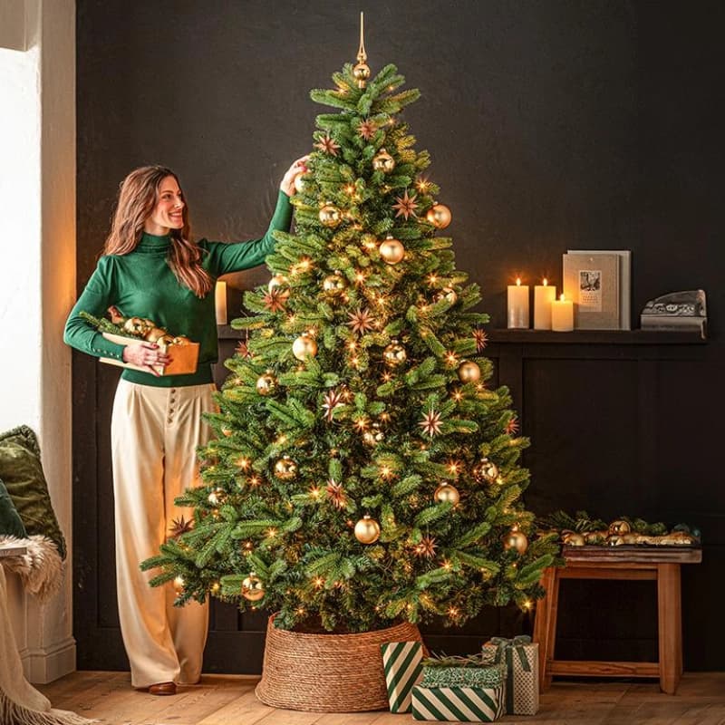 Bäume mit Beleuchtung