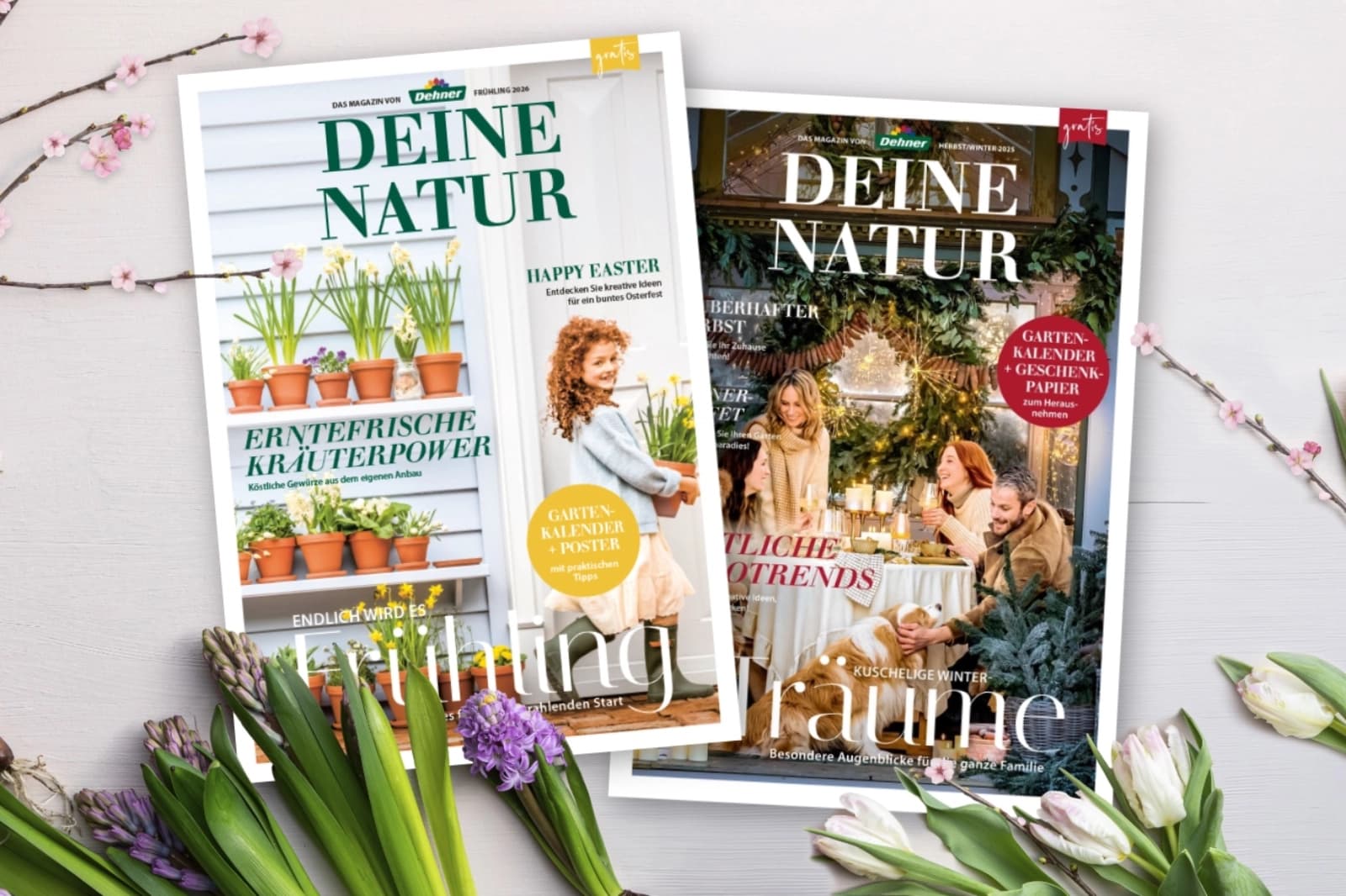 Kataloge & Prospekte