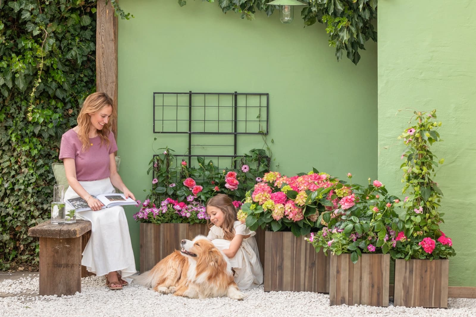 Schling- und Kletterpflanzen