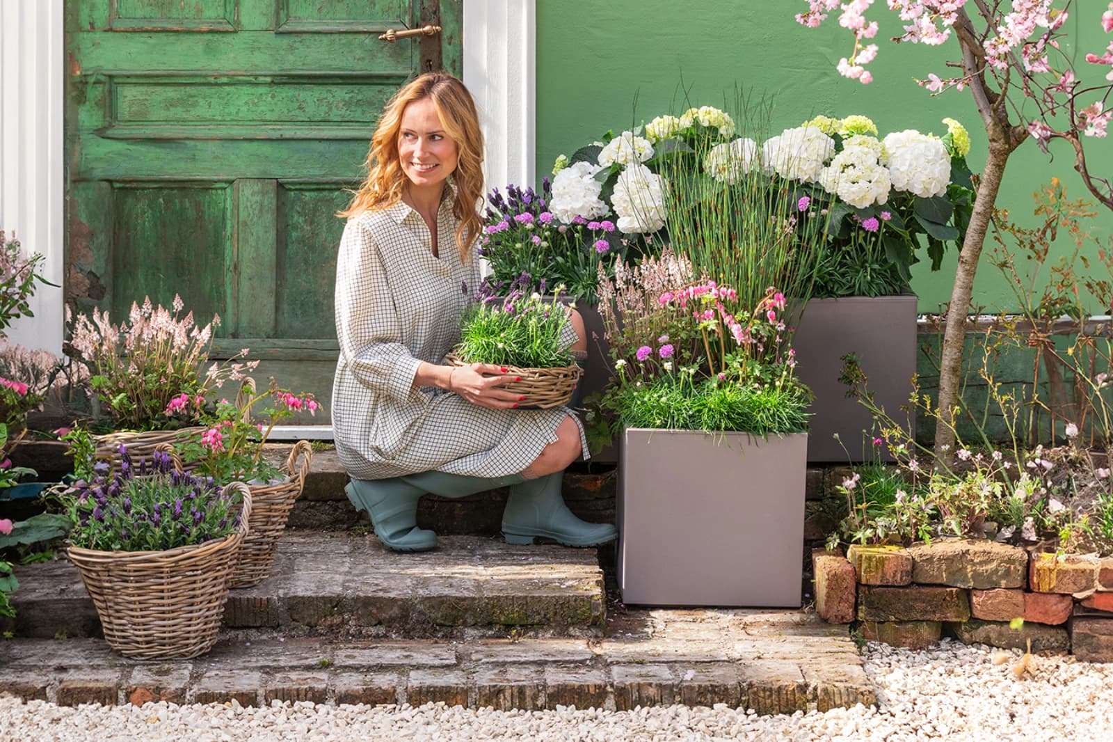 Blütenpracht für Ihren Lieblingsplatz