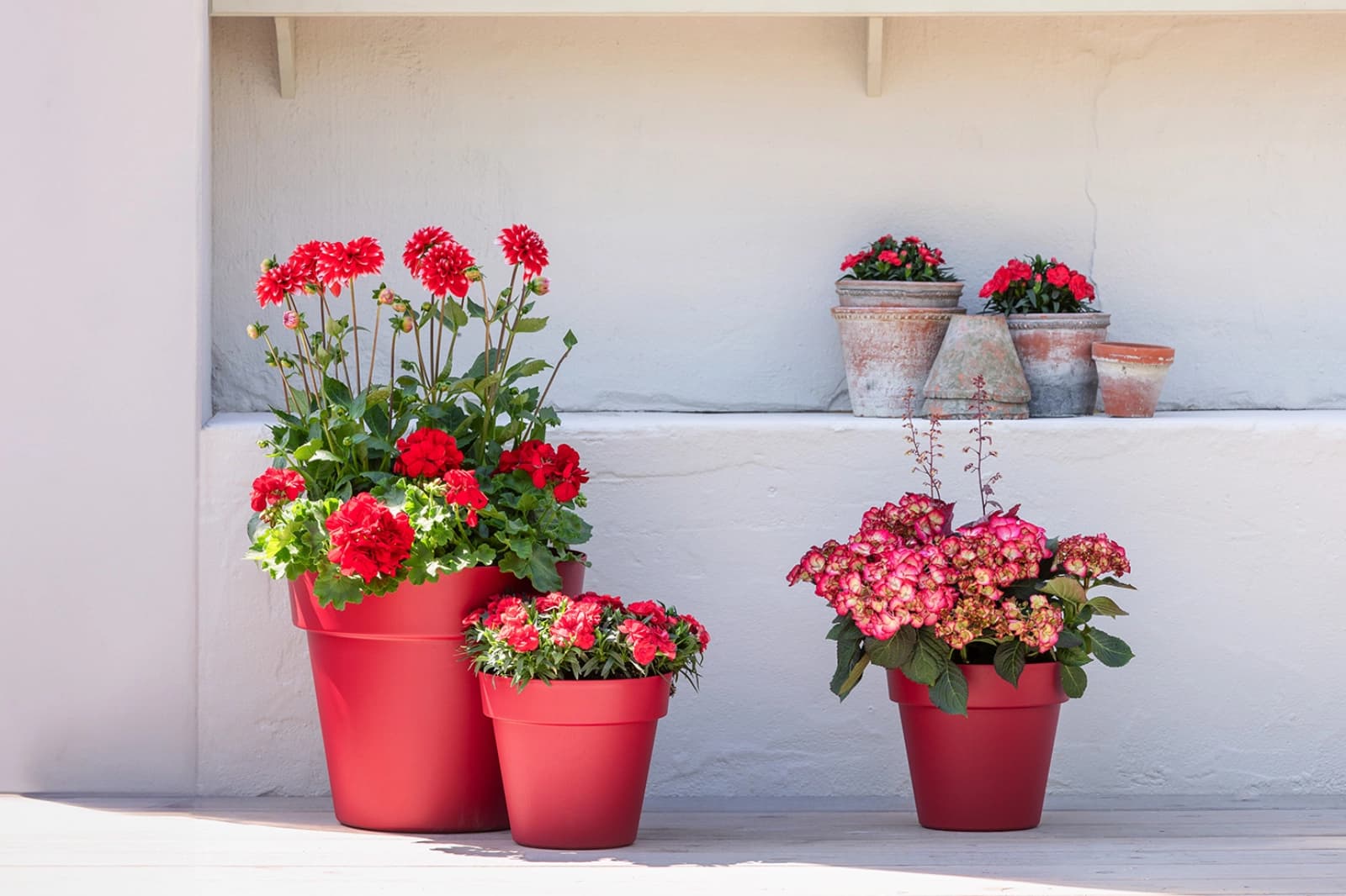 Trend: Pflanzen Ton in Ton