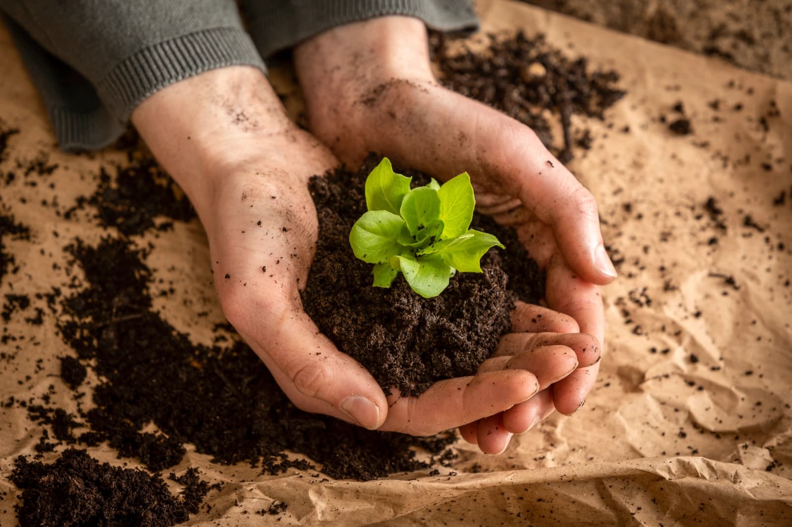 Gartenkalender April