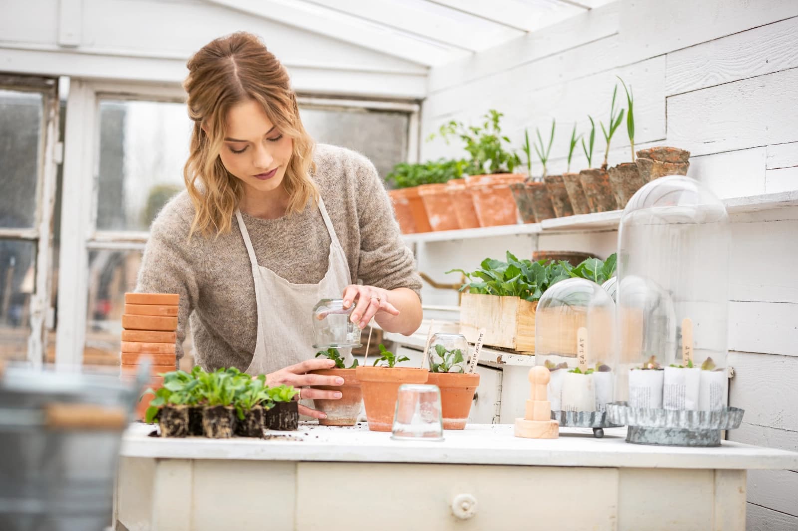 Ratgeber Aussaat & Anzucht