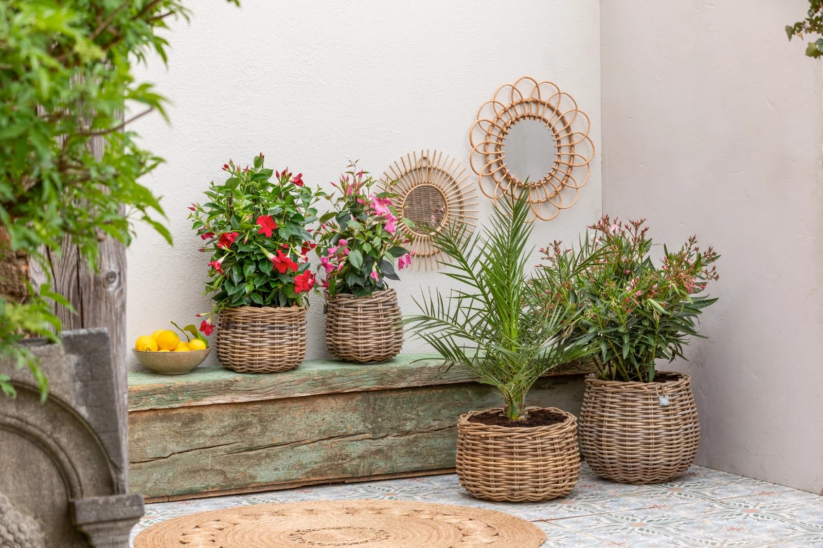 Pflanzgefäße & Übertöpfe