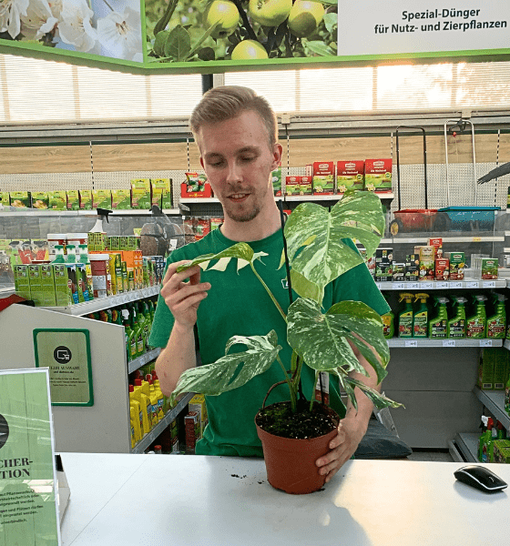 Beratung zur Pflanzengesundheit bei Dehner