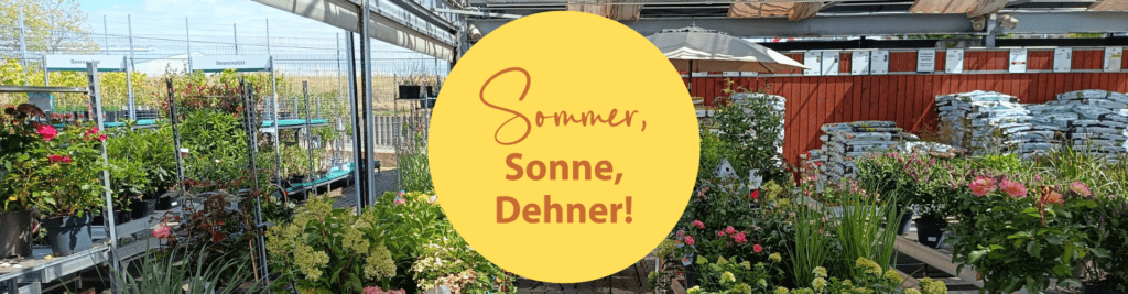 Sommerzeit bei Dehner