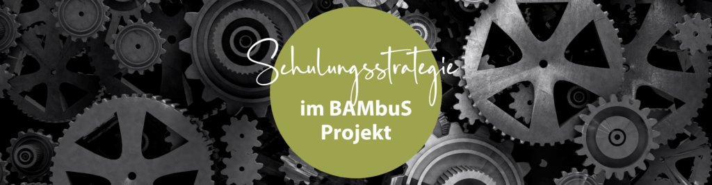 Schulungsstrategie im BAMbuS Projekt