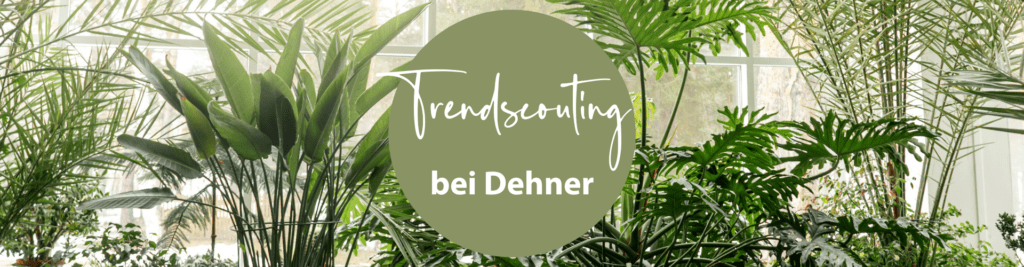 Trendscouting bei Dehner