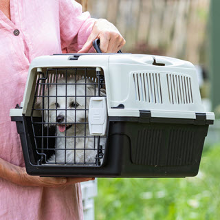 Dehner Hunde-Geschirr Autoschondecke für Haustiere, ca. 147 x 137 cm, Decke  für Hund oder Katze, Schützt das Auto und das Tier