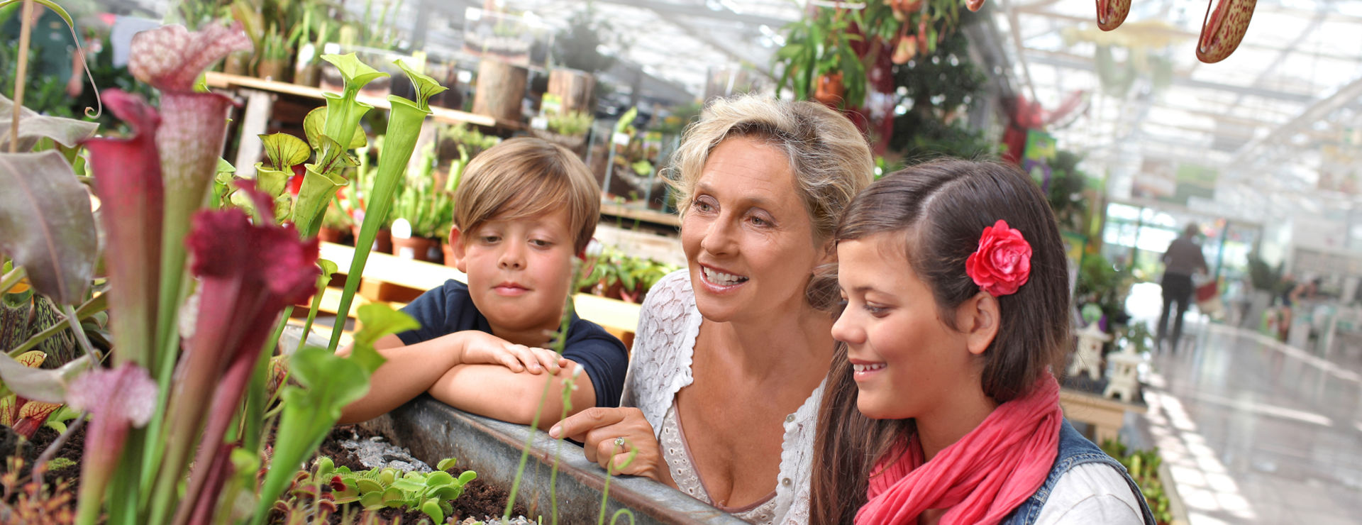 GartenCenter Dehner UnternehmenDehner Unternehmen